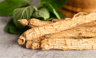 Ginseng