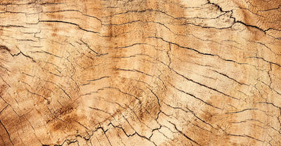 Notes de fond