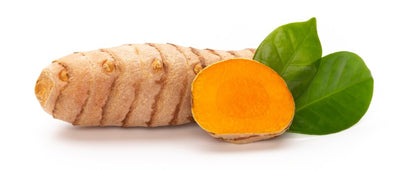 Curcuma fermenté